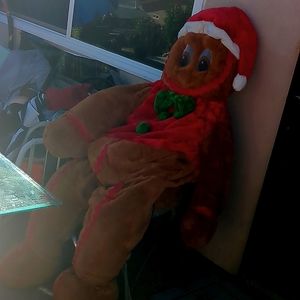 Christmas⛄ 🎄Gingerbread man costume 🎄⛄